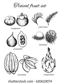 Tropical fruit set. Vector line illustration in engraving style.