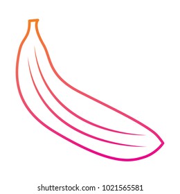 tropical fruit tasty banana fresh