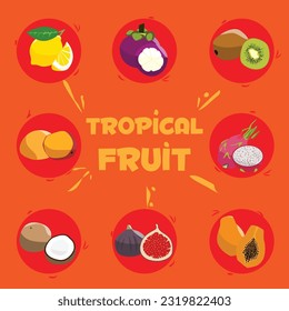 Tropical fruit vector - Fully editable