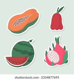 Tropical fruit vector icons. Set of 4 fruit (rose apple, watermelon, papaya and dragon fruit) stickers. Hand drawn vector illustration.