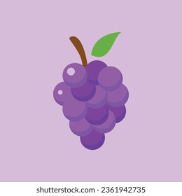 Tropical Fruit Vector Illustration Design
