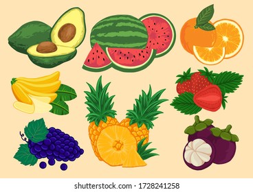 tropical fruit vector illustration pack. 