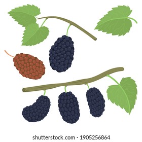 Frutos vectoriales tropicales