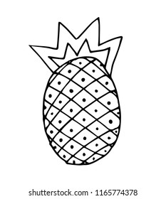 tropical fruit, vector pineapple, fashionable children's drawing, teaching illustration for books