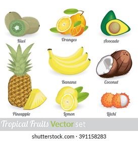 tropical fruit vector set