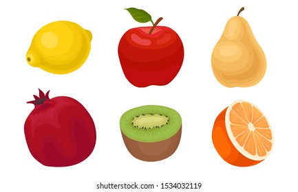 Tropical Fruit Vector Set Isolated On White Background.