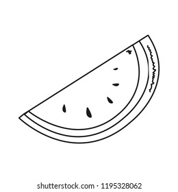 tropical fruit watermelon isolated design