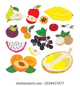 Tropical Fruit Wonders. vector illustration