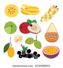 Maravilhas de frutas tropicais. ilustração vetorial