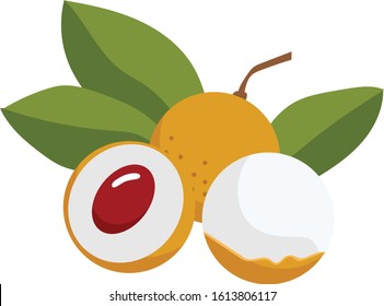 tropical fruit yellow logan icon