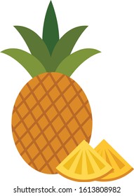 tropical fruit yellow pineapple icon