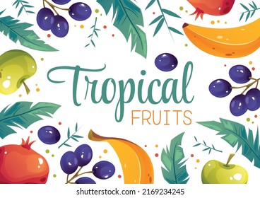Tropical fruits banner poster cover background with text place concept. Vector flat graphic design element illustration