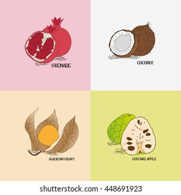 Tropical fruits board illustration for healthy business