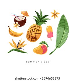 Tropical fruits and flowers, vector summer illustration