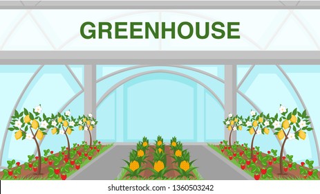 Tropical Fruits Greenhouse Web Banner Template. Exotic Lemon Trees Plantation Illustration. Ripe Pineapple Harvest Growing in Hothouse. Cartoon Wild Strawberries Bushes, Sprouts in Soil