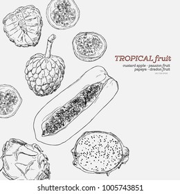 Tropical fruits hand draw vector set. Set of papaya , custard apples , passion fruit and dragon fruit sketch vector.