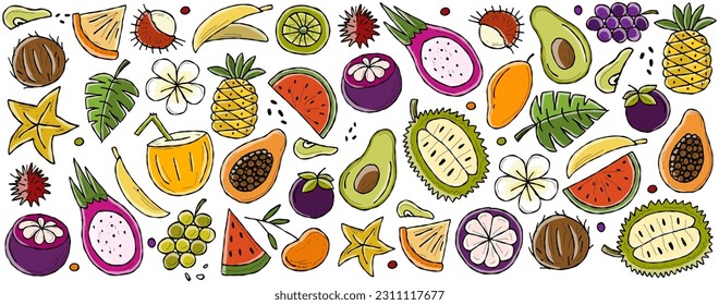 Tropical fruits. Horizontal banner for your text
