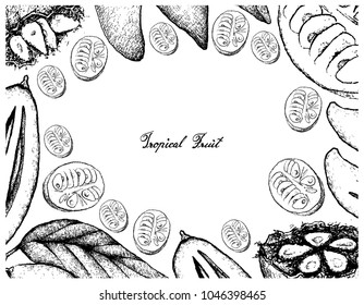 Tropical Fruits, Illustration Frame of Hand Drawn Sketch Madan or Garcinia Schomburgkiana Pierre and Monk Fruit, Luo Han Guo or Siraitia Grosvenorii Isolated on A White Background.