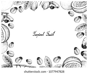 Tropical Fruits, Illustration Frame of Hand Drawn Sketch of Passion Fruit or Passiflora Edulis and Ackee or Blighia Sapida Fruits Isolated on A White Background. 
