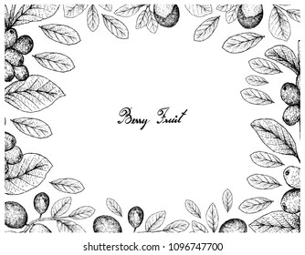 Tropical Fruits, Illustration Frame of Hand Drawn Sketch Ripe Coffee Berries or Coffee Arabica or Cocoplum, Paradise Plum, Abajeru or Chrysobalanus Icaco Fruits Isolated on White Background. 