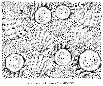 Tropical Fruits, Illustration Wallpaper of Hand Drawn Sketch Ripe and Sweet Copao Cactus or Eulychnia Breviflora Fruits Isolated on White Background.
