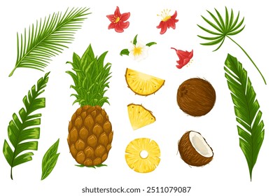 Conjunto de Vector de frutas y hojas tropicales. Dibujado a mano ilustraciones de dibujos animados de piña entera y picada, coco, hojas de palma, flores. Impresión gráfica para el menú, pegatinas, productos de belleza, diseño de paquetes