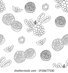 Tropical fruits line seamless pattern. Black and white botanical background. Vector illustration summer monoline.