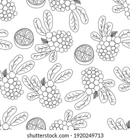 Tropical fruits line seamless pattern. Black and white botanical background. Vector illustration summer monoline.
