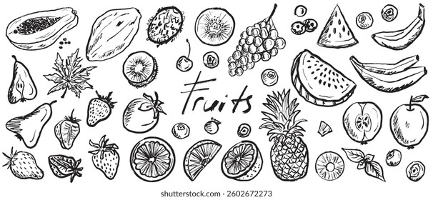 Tropical fruits. Papaya, pineapple, watermelon, blueberry, strawberry, pear designs in black brush stroke texture isolated on white. Hand drawn vector sketch illustration in vintage charcoal ink