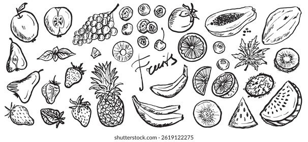 Tropical fruits. Papaya, pineapple, watermelon, blueberry, strawberry, pear designs in black brush stroke texture isolated on white. Hand drawn vector sketch illustration in vintage charcoal ink