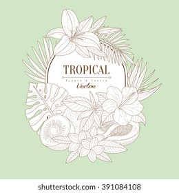 Tropical Fruits And Plants Set Vintage Vector Hand Drawn Design Card