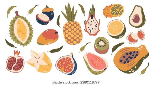 Tropical Fruits Set. Durian, Lychee, Pineapple and Dragon Fruit. Carambola, Figs, Garnet and Papaya with Guava and Lime