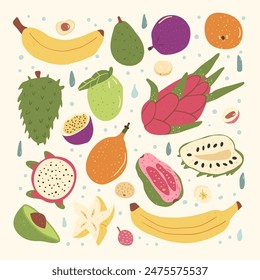 Tropical fruits. Set of exotic sweet dessert square composition. Vector hand drawn flat collection illustration.
