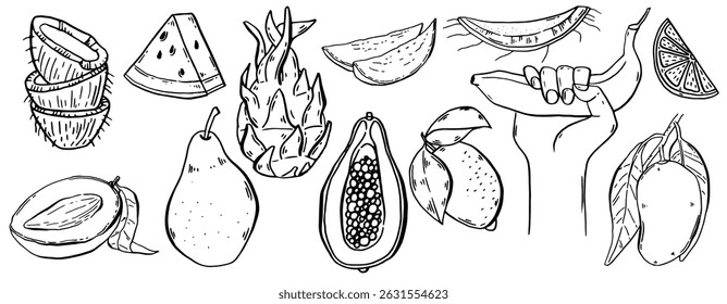 Tropical fruits set. Hand drawn collection summer food. Fresh banana, papaya, coconut, mango, dragon fruit, lemon, pear and watermelon. Sketch style exotic food. Vector set