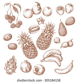 Tropical Fruits Set. Hand drawn sketch of lychee, pomegranate, orange, banana, dragon fruit, fig, kiwi fruit, persimmon, starfruit, avocado and pineapple. 