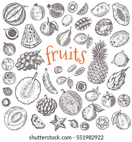 Tropical fruits set. Hand drawn vector illustration. Design elements. Carambola, lychee, kiwi, papaya, watermelon, rambutan, honeydew, coconut, kumquat, grapefruit, loganberry, pomegranate and other.