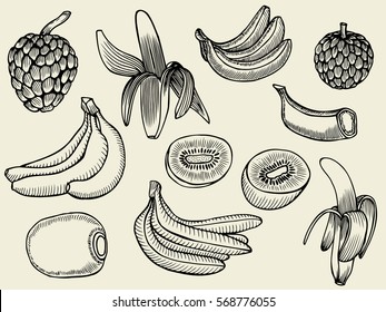Tropical Fruits Set. Hand drawn sketch. Isolated on beige background