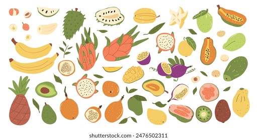 Tropical fruits set isolated on white background. Group of exotic sweet dessert. Slices, half and whole fruit. Vector hand drawn flat collection illustration.