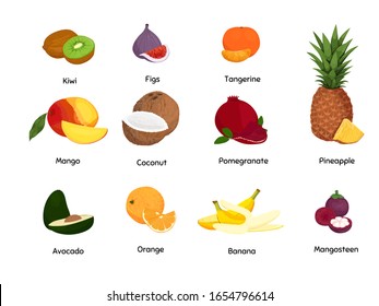 Tropical fruits set. Vector isolated elements on the white background.