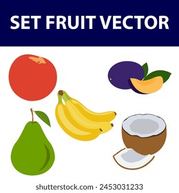 Tropical fruits set. Vector isolated elements on the white background