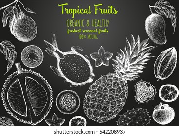 Tropical Fruits top view frame. Farmers market menu design. Healthy food poster. Vintage hand drawn sketch, vector illustration. Linear graphic.