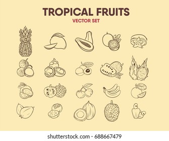 Tropical Fruits Vector