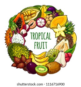 Tropical fruits vector circle background Healthy summer food template for design, web banner and printed materials.