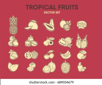 Tropical Fruits Vector Collection Set Base Color on Red Background