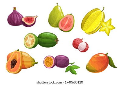 Tropical fruits, vector fig, carambola and papaya, mango, guava and passion fruit, feijoa and lychee. Exotic tropic fresh fruits assortment, orchard, farm market production isolated cartoon icons set