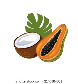 Tropical fruits, vector illustration. Vector coconut. papaya and palm leaf isolated composition. 