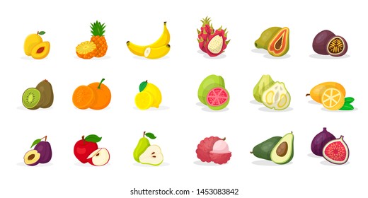 Tropical fruits vector illustrations set. Sliced pineapple, banana, kiwi, pear, apricot, plum, kernel,citrus, apple, pomelo, guava, kumquat, dragon fruit, papaya, passion fruit, lychee, avocado, fig