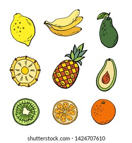 Tropical fruits vector set isolated vector.