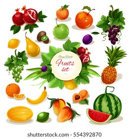 Tropical and garden apple, orange, pineapple, grape, banana and peach, mango and lemon, plum, watermelon and pear, apricot and kiwi, melon and pomegranate with leaf and vine for food design