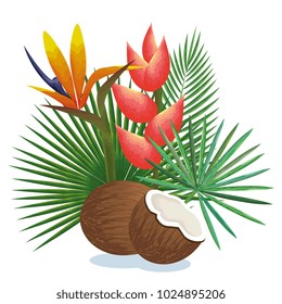 tropical garden with coconut